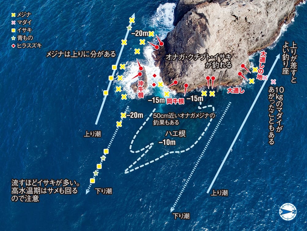 静岡県 南伊豆 ダイナミックな荒磯で磯魚と戯れる Ana Travel Life