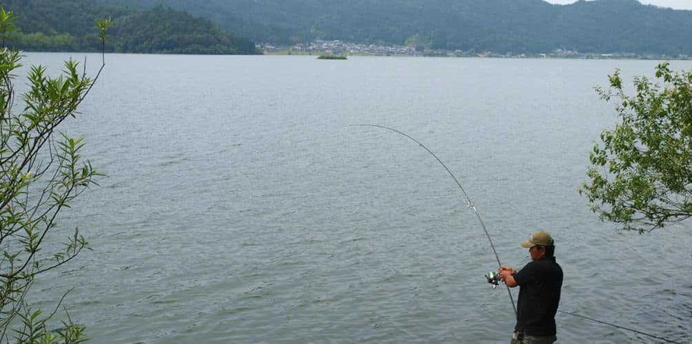 自然と歴史が彩る余呉湖は釣りも盛ん