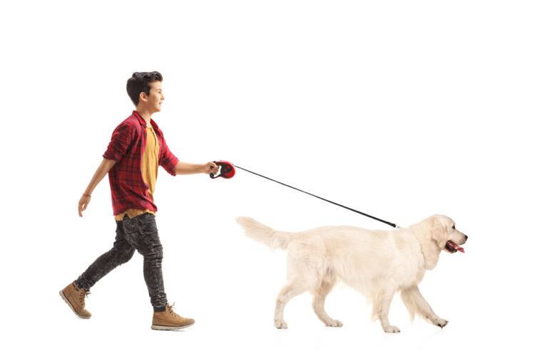 犬が散歩好きな理由とは 楽しく散歩するコツや注意点まで Ana Travel Life 犬が散歩好きな理由とは 楽しく散歩するコツや注意点まで Ana Travel Life