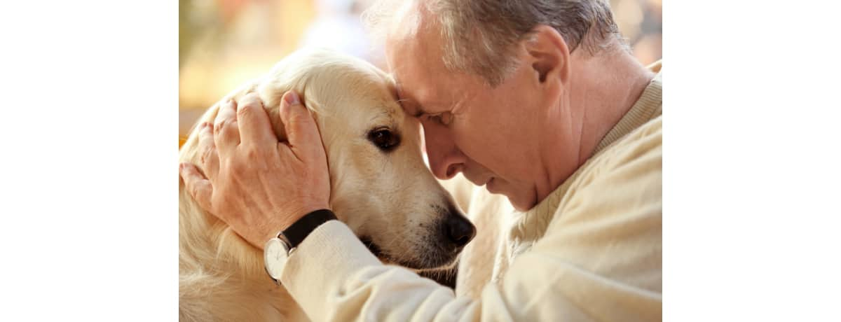 獣医師監修 犬種別の平均寿命 最高齢のギネス記録は 健康で長生きしてもらうための健康管理 Ana Travel Life