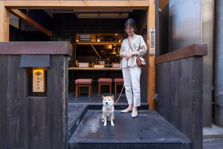 東京 愛犬と一緒に行きたいペット同伴okのカフェ レストラン10選 Ana Travel Life