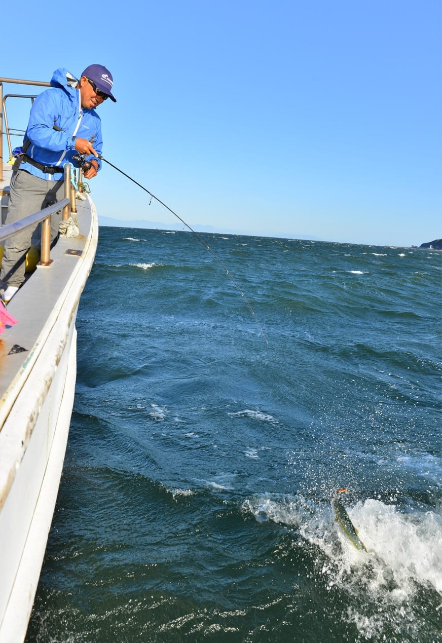 愛知県 南知多町 伊勢湾 四季折々の高級魚がお出迎え Ana Travel Life 愛知県 南知多町 伊勢湾 四季折々の高級魚がお出迎え Ana Travel Life