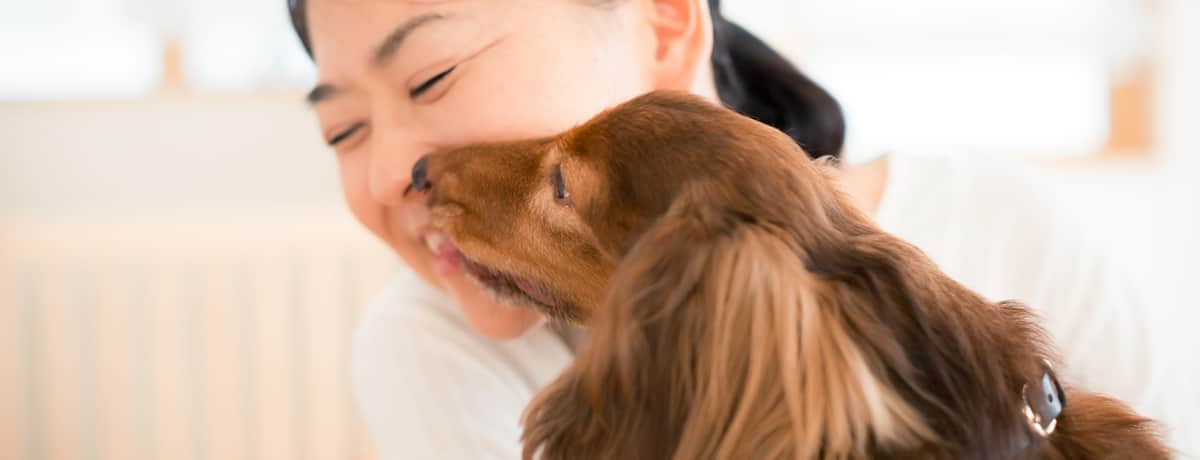 舐める 犬 おしっこ 犬が舐める理由は？ ／おしっこ