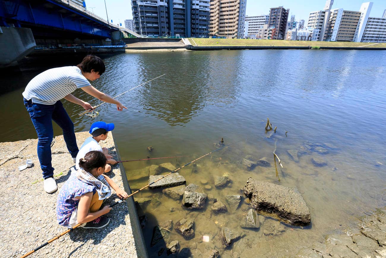 ビギナーに優しいおすすめ釣り場 東京周辺 多摩川 江戸川 のテナガエビ釣り Ana Travel Life