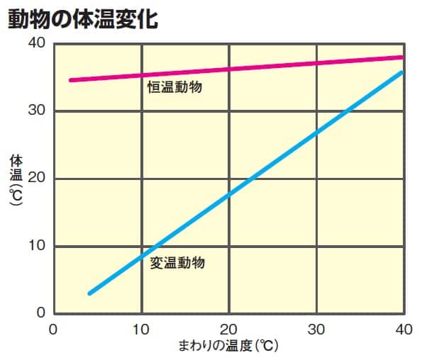 楽しい 釣りの自然科学 第3回 魚は温度変化に弱い Ana Travel Life