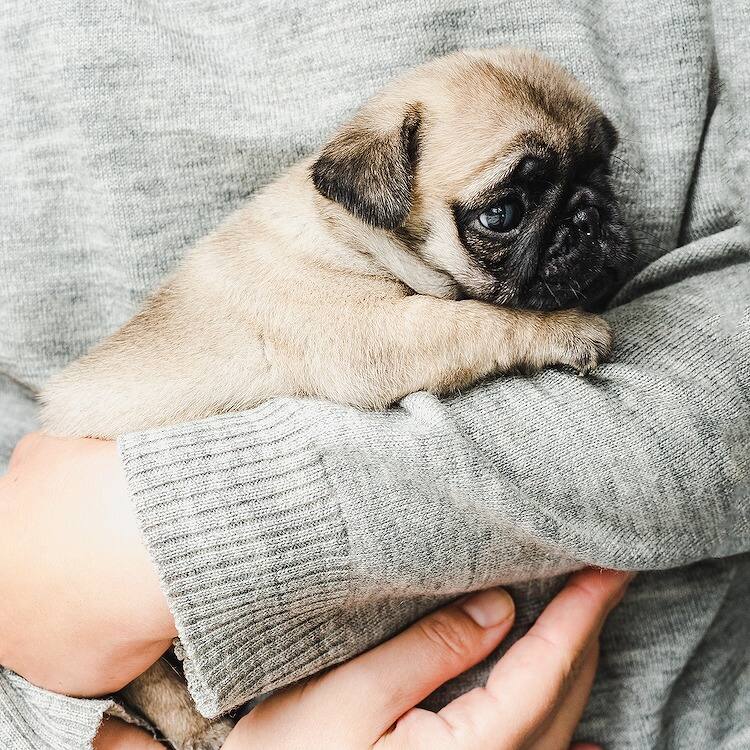 臼井 京音 健康 のタグ記事一覧 Ana Travel Life