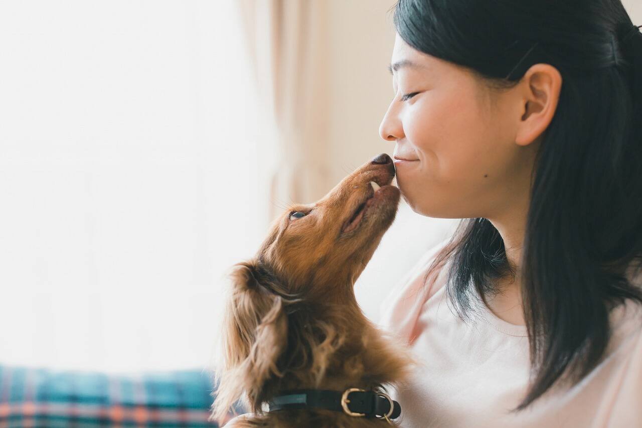 獣医師監修 甘えん坊な犬は体をこすりつけてくる 犬が甘えるときの仕草を解説 Ana