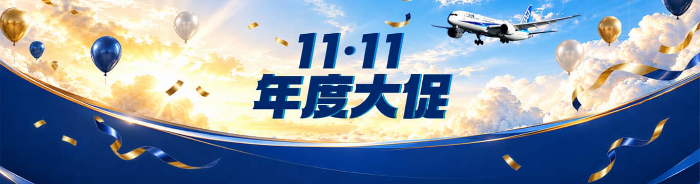 11.11年度大促