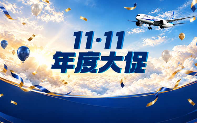 11.11年度大促