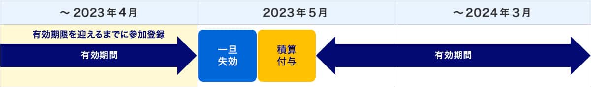 参加登録をいただいても、当初の有効期限で一度失効しますが、有効期限を迎えた月の翌月中旬に2024年3月31日(日)を有効期限として同数のマイル・ANA SKY コインを積算・付与いたします。